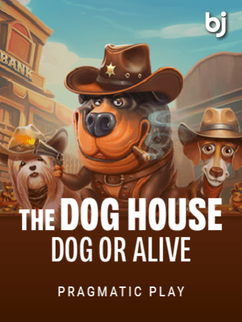 The Dog House – Dog or Alive